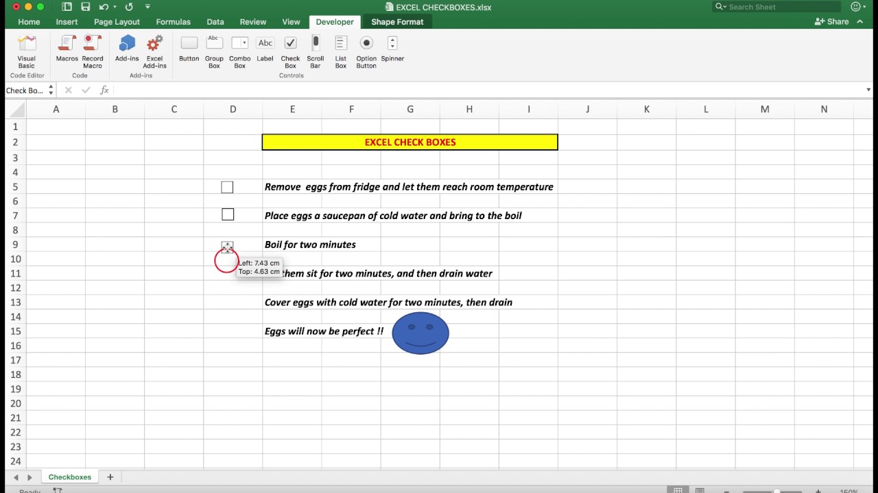 you put check boxes into excel 2008 for mac